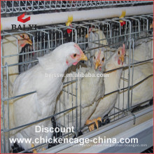 Large-Scale Chicken Cage From Factory